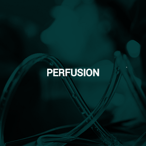 Perfusion Opportunities