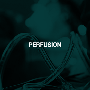 Perfusion Opportunities Perfusion Opportunities